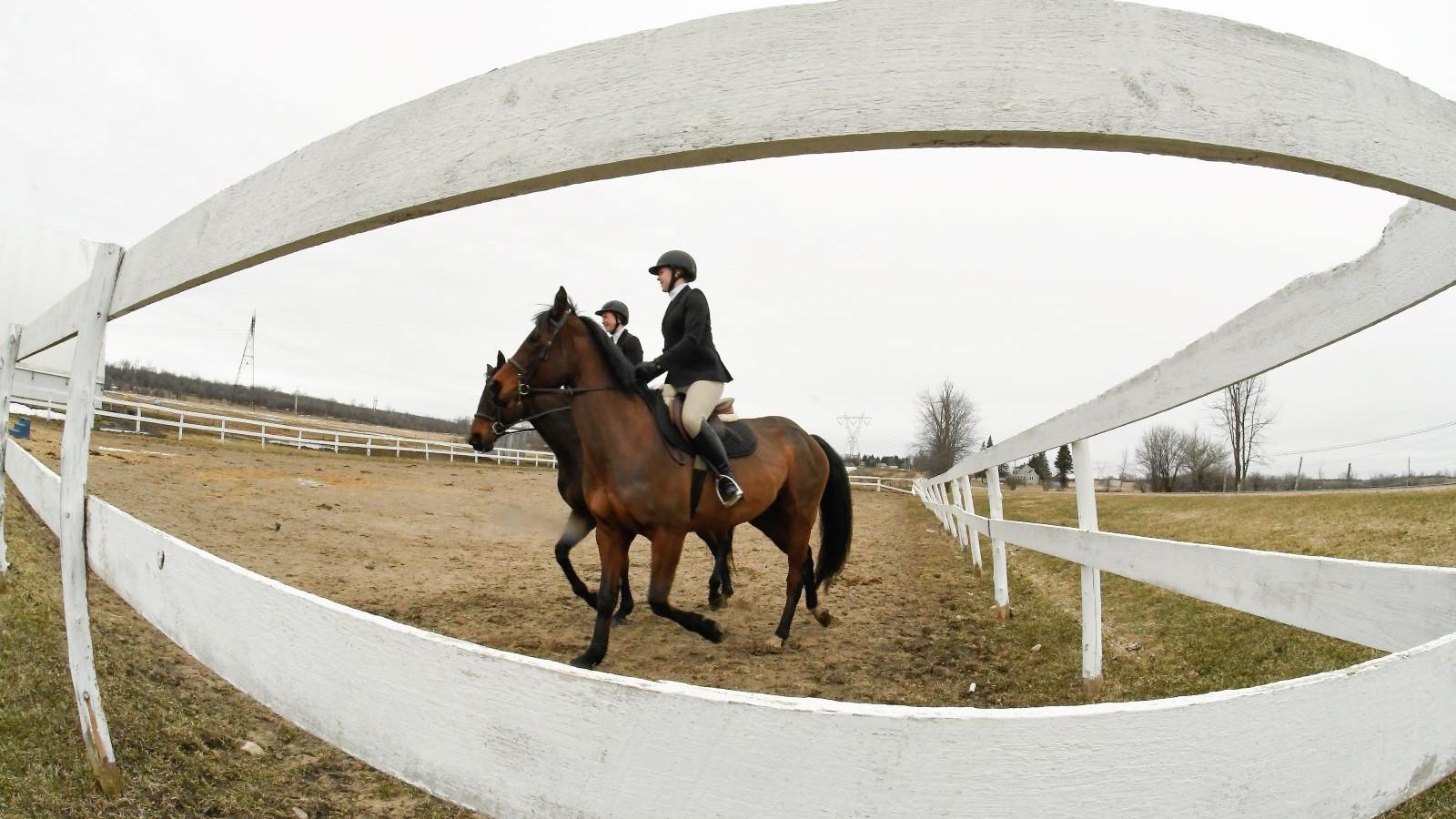 Clarkson Equestrian Club